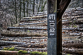 Bernhard Saalfeld - Dhuenn (7v9)